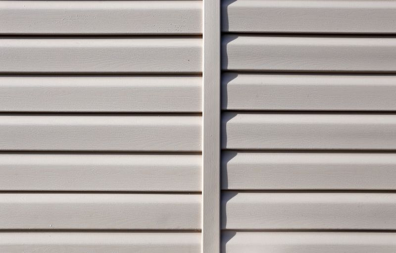 Vinyl Cladding Installation in Louisa, VA
